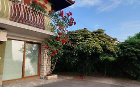 Apartma Niko